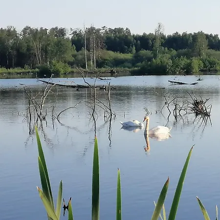 By The Woods In Saint-leger 샬레