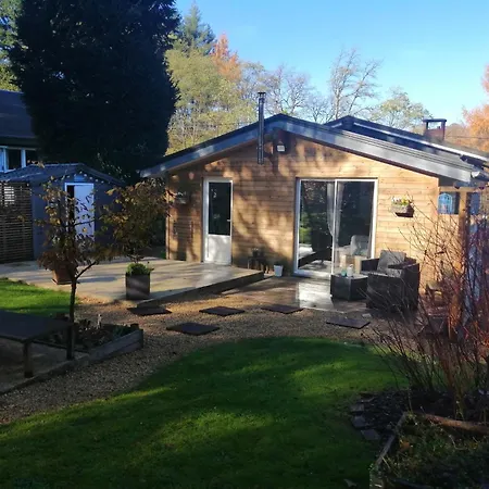 By The Woods In Saint-leger *