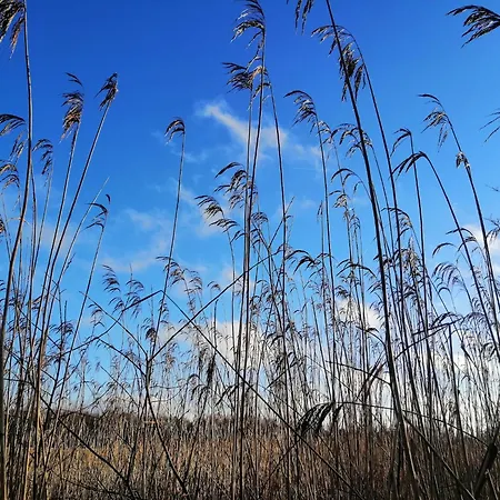 샬레 By The Woods In Saint-leger *