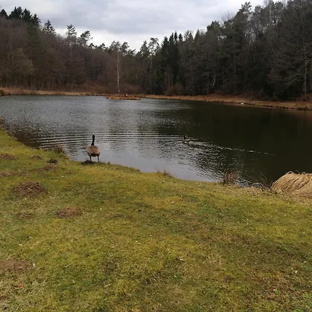 By The Woods In Saint-leger * Chatillon
