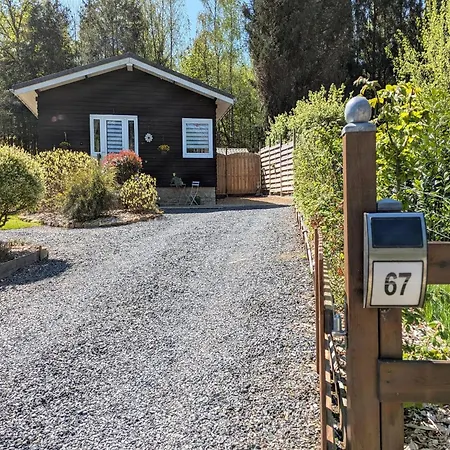 By The Woods In Saint-leger