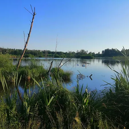 Chalé By The Woods In Saint-leger Chatillon