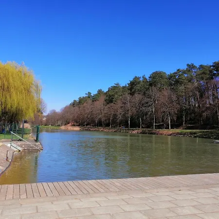 By The Woods In Saint-leger *