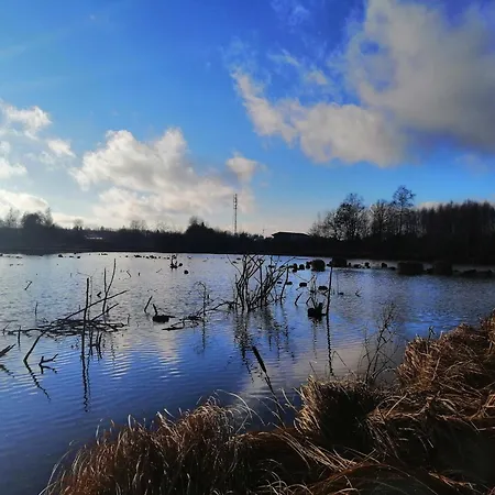 By The Woods In Saint-leger Chatillon