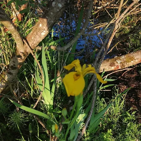 Chalé By The Woods In Saint-leger *