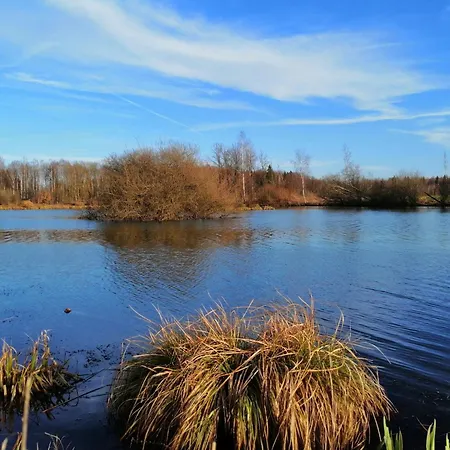 Chalé By The Woods In Saint-leger Chatillon