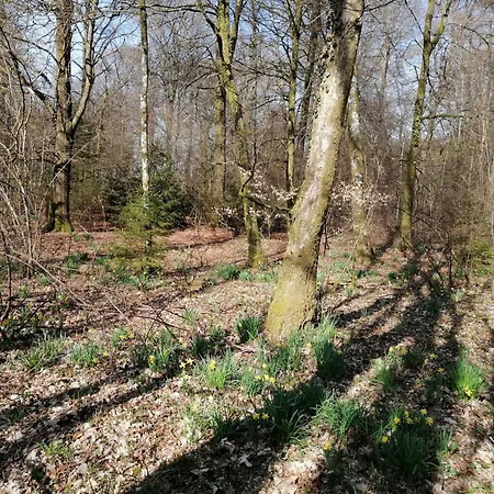 Chalé By The Woods In Saint-leger *