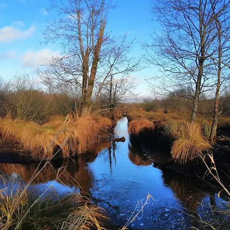 By The Woods In Saint-leger Chatillon
