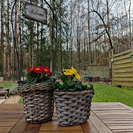 By The Woods In Saint-leger