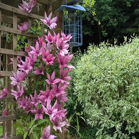 샬레 By The Woods In Saint-leger