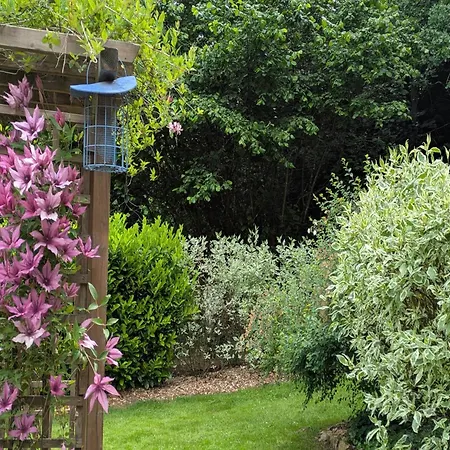 By The Woods In Saint-leger Chatillon